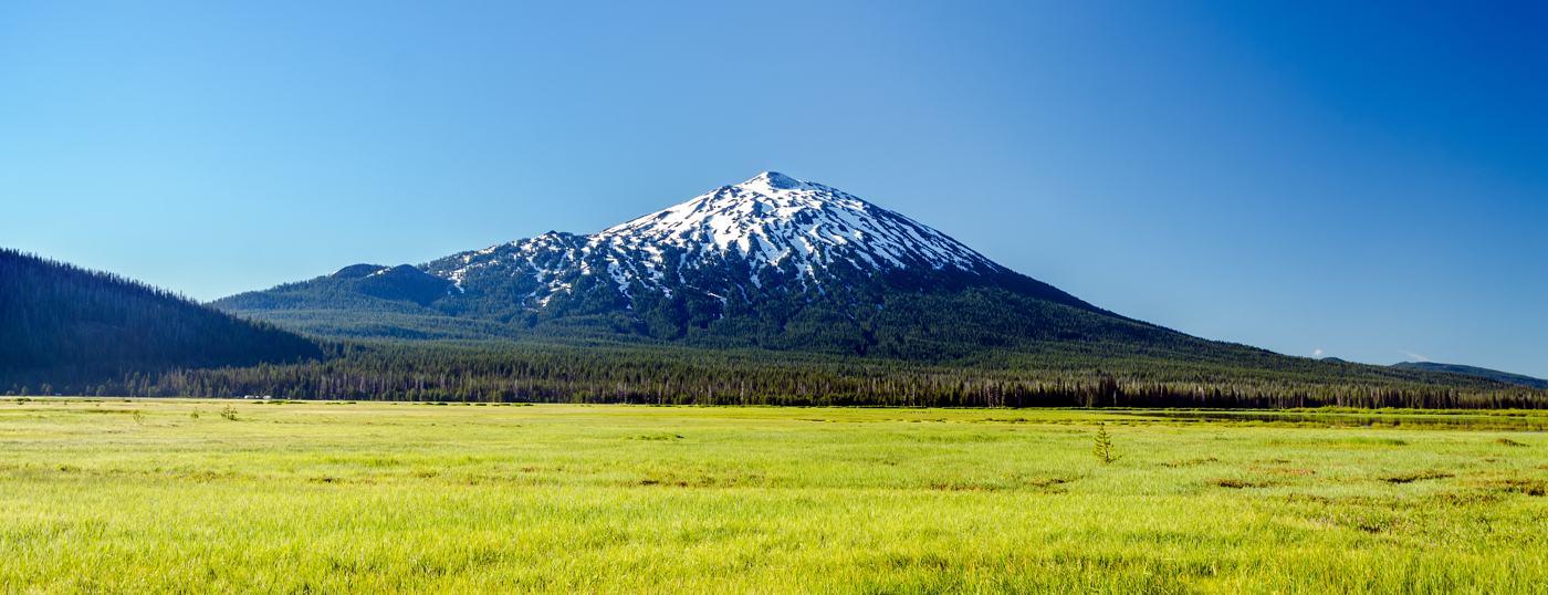 Tank Law PC - Proudly Serving Oregon for over 25 years.